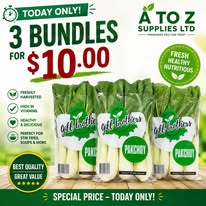 Fresh pak choy — 3 bundles for $10